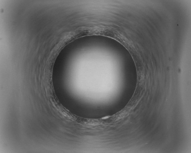 X0000081291153200701251646