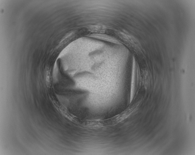 X0000081291154200701251646