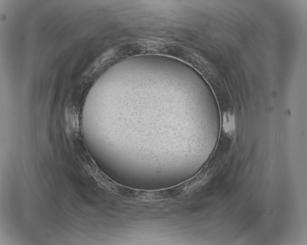 X0000081291155200701251646