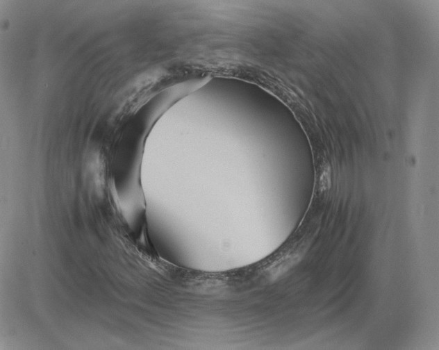 X0000081291156200701251646