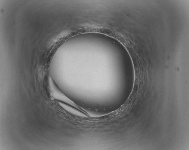 X0000081291157200701251646