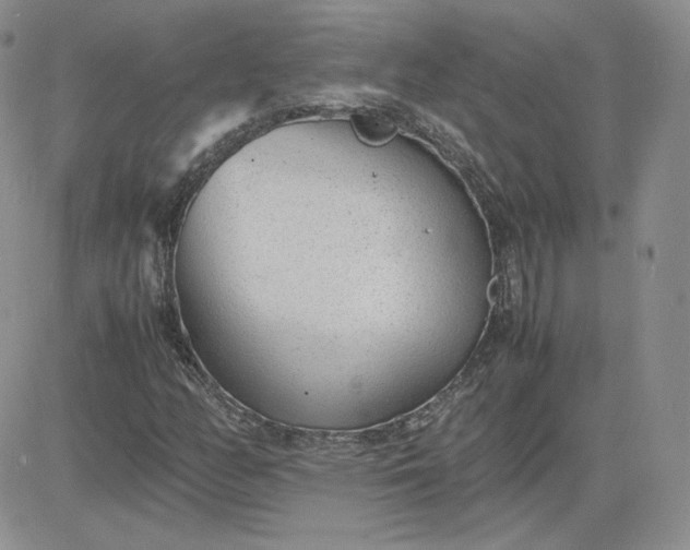 X0000081291158200701251646