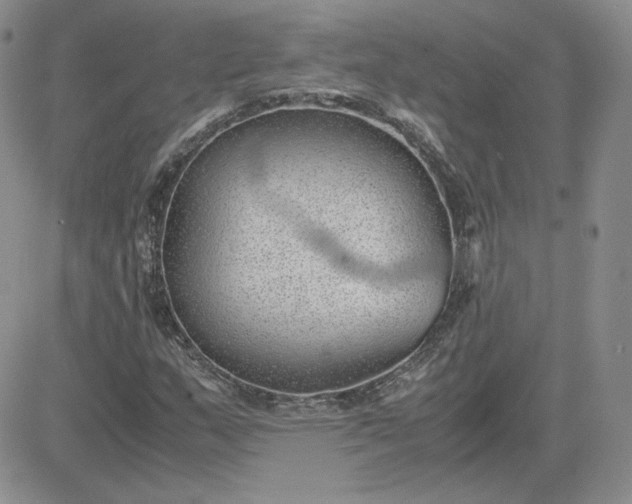 X0000081291159200701251646