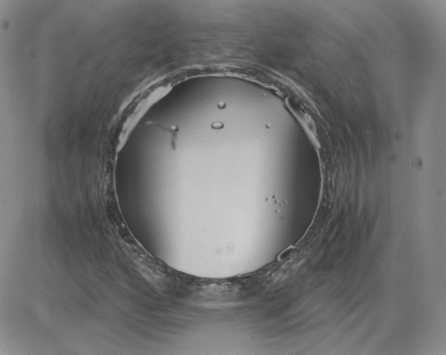 X0000081291160200701251646