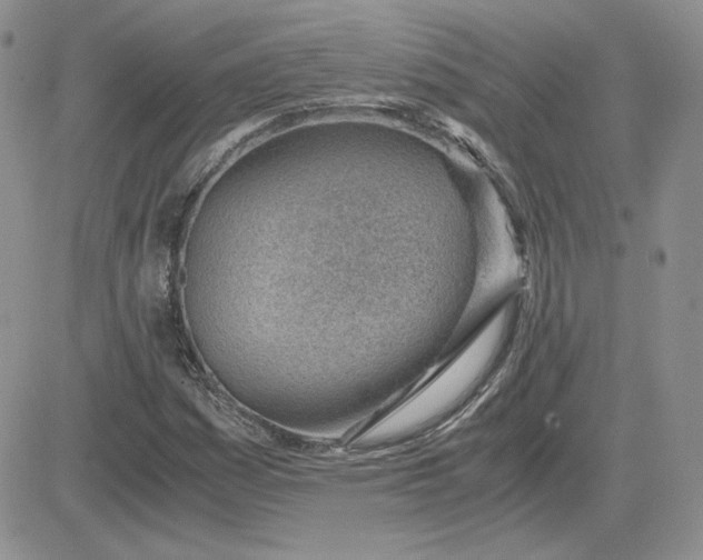 X0000081291161200701251646