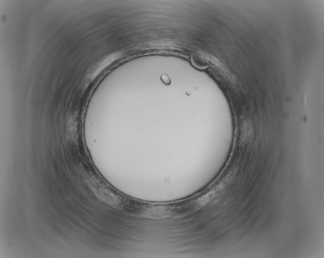 X0000081291162200701251646