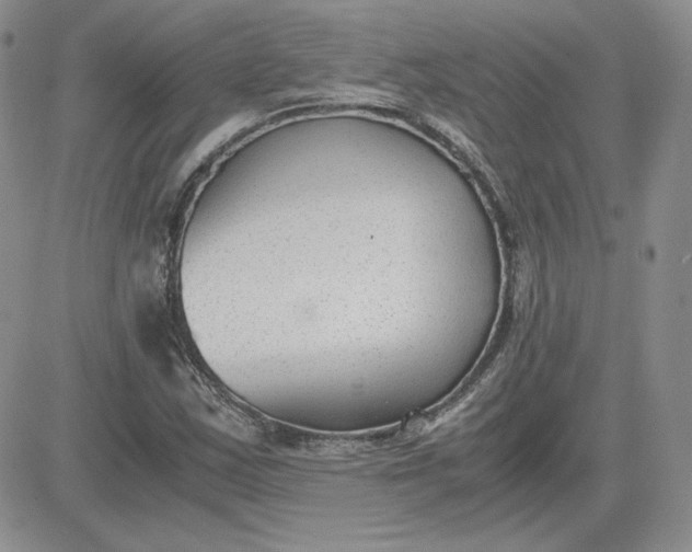 X0000081291163200701251645