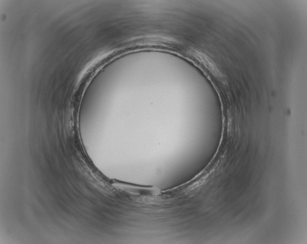 X0000081291164200701251645