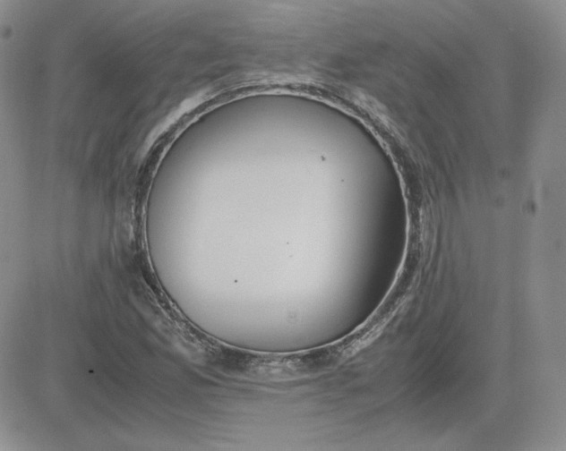 X0000081291165200701251645