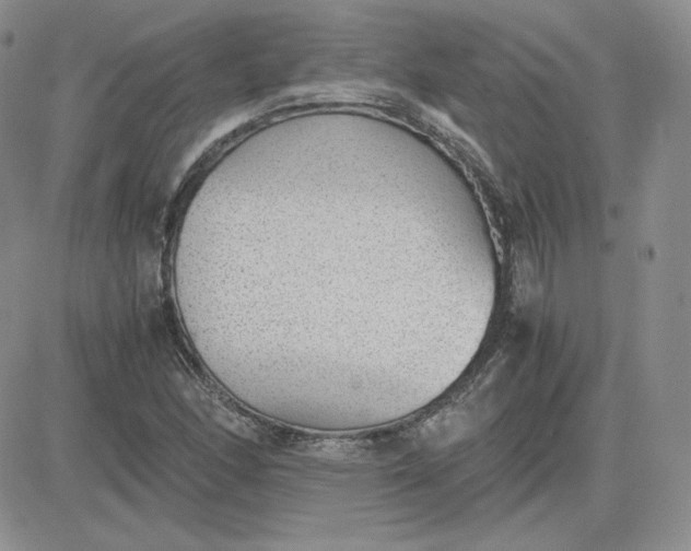 X0000081291166200701251645