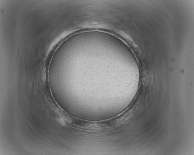 X0000081291167200701251645