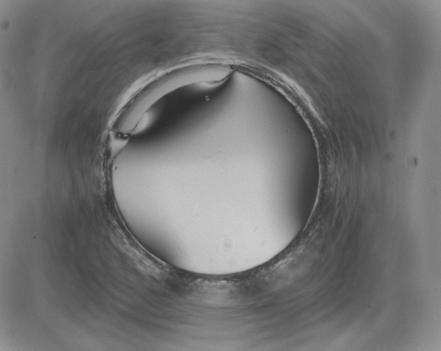 X0000081291168200701251645