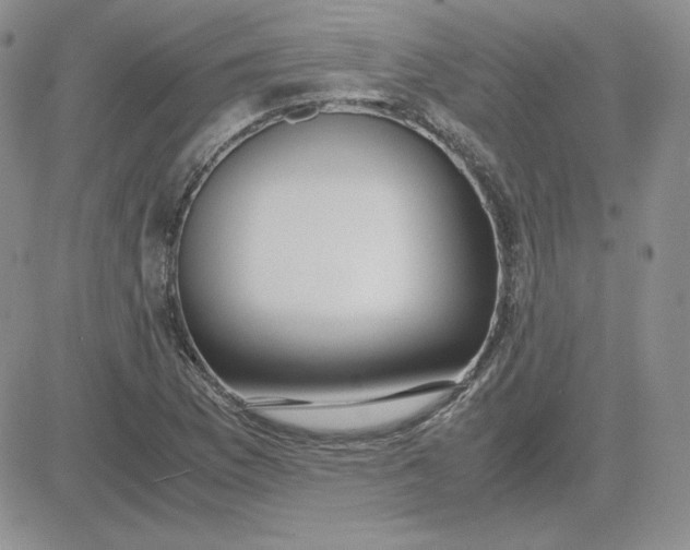 X0000081291169200701251645