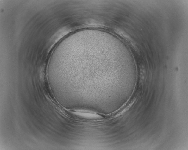 X0000081291170200701251645