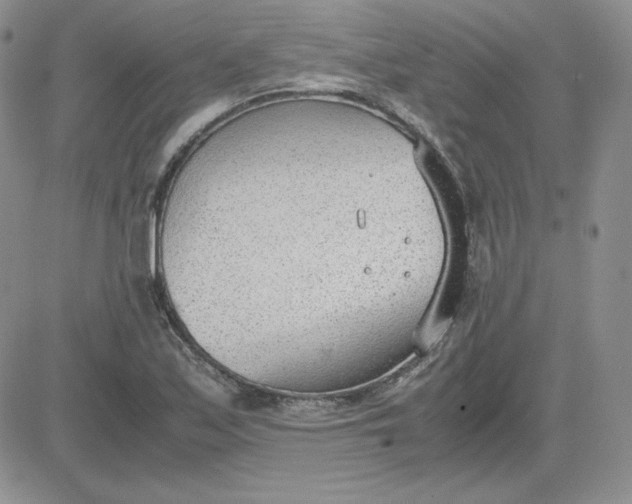 X0000081291171200701251645