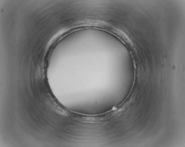 X0000081291172200701251645