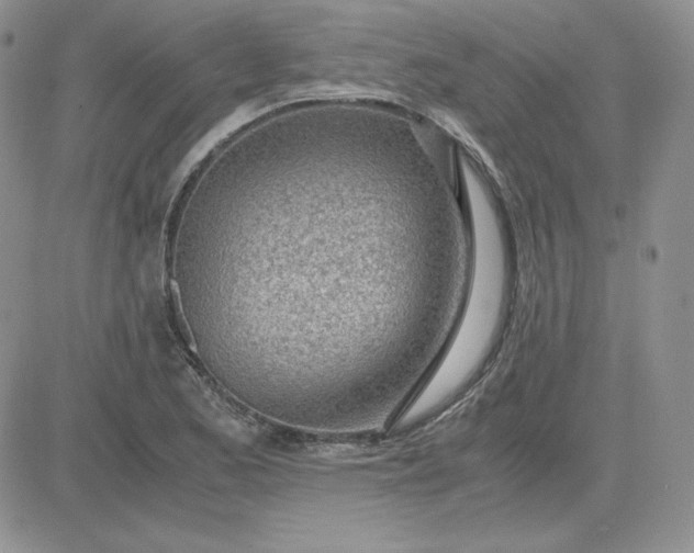 X0000081291173200701251645