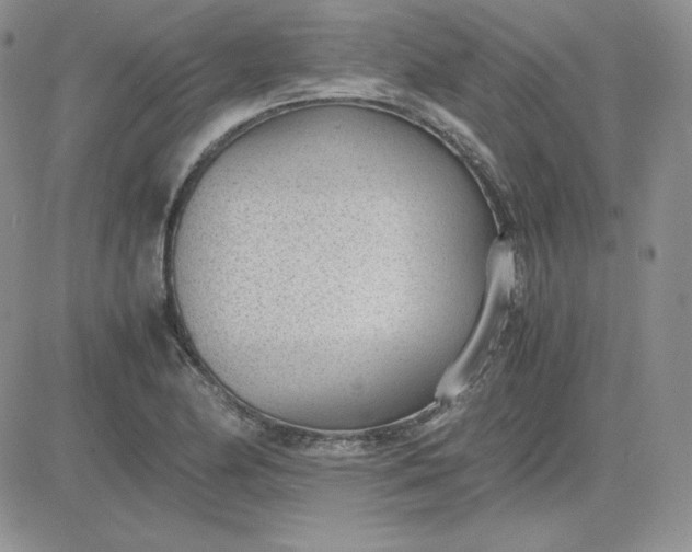 X0000081291174200701251645