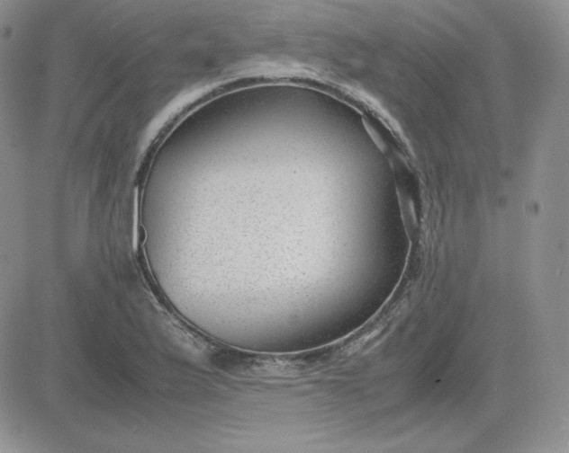 X0000081291175200701251645