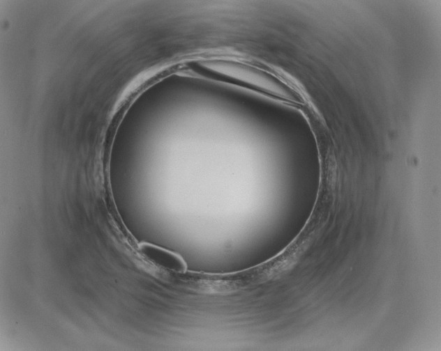 X0000081291176200701251645