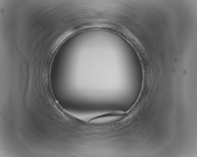 X0000081291177200701251645