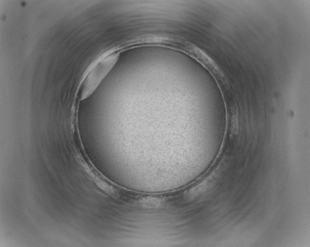 X0000081291178200701251645