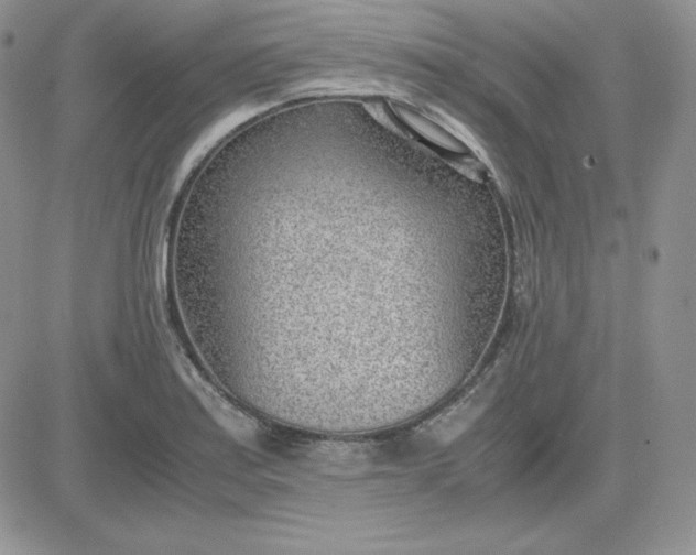 X0000081291179200701251645