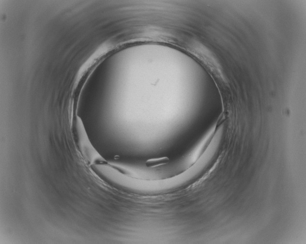 X0000081291180200701251645