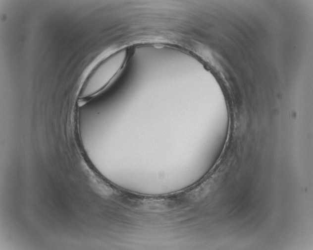 X0000081291181200701251645