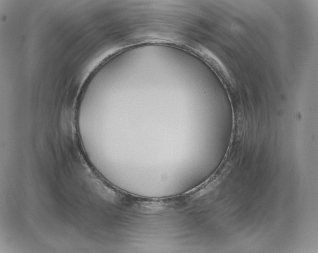 X0000081291182200701251645