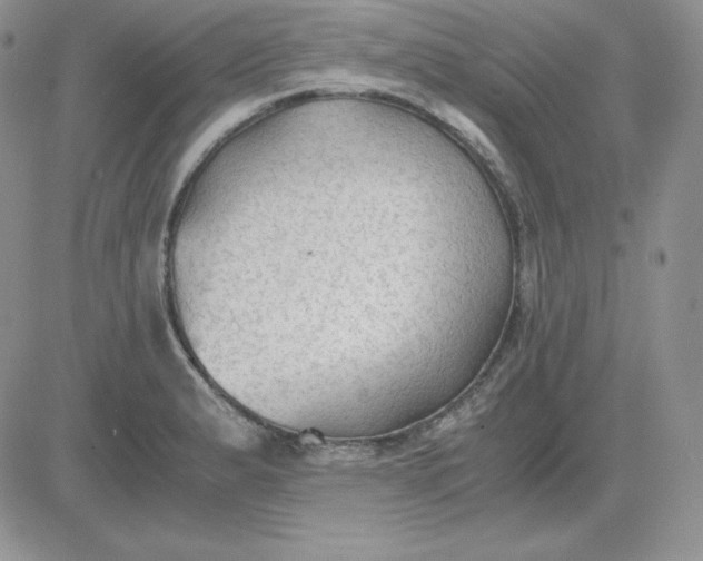 X0000081291183200701251645