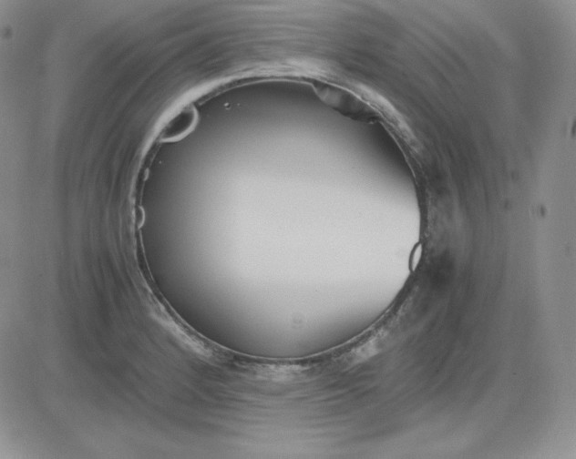 X0000081291184200701251645