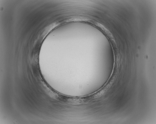 X0000081291185200701251645