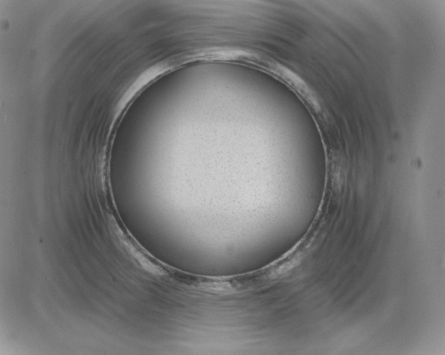 X0000081291186200701251645