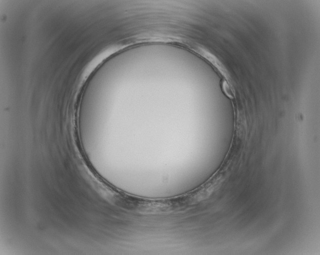 X0000081291187200701251645