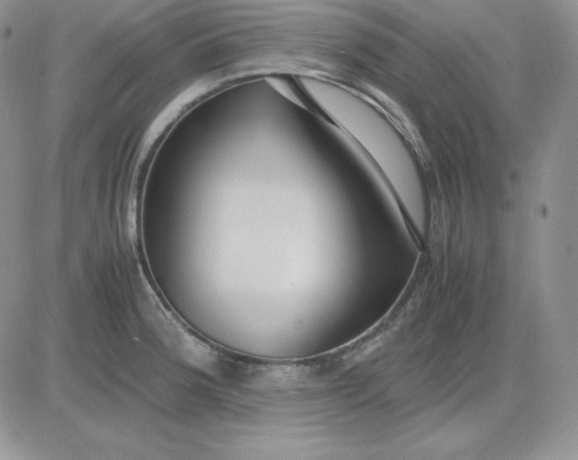 X0000081291188200701251645