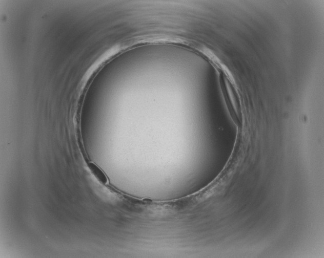 X0000081291189200701251645