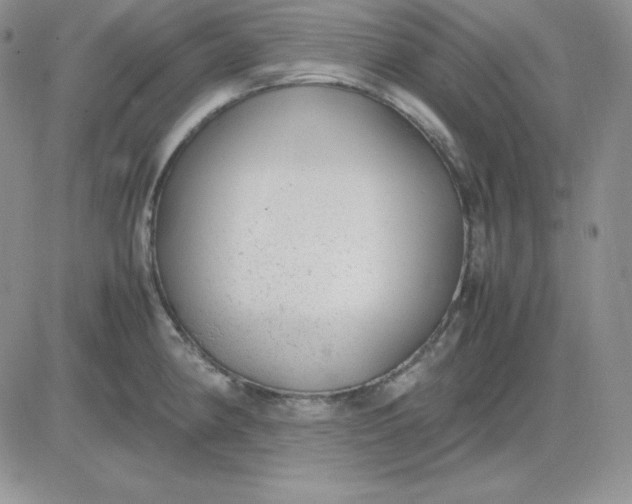 X0000081291190200701251645