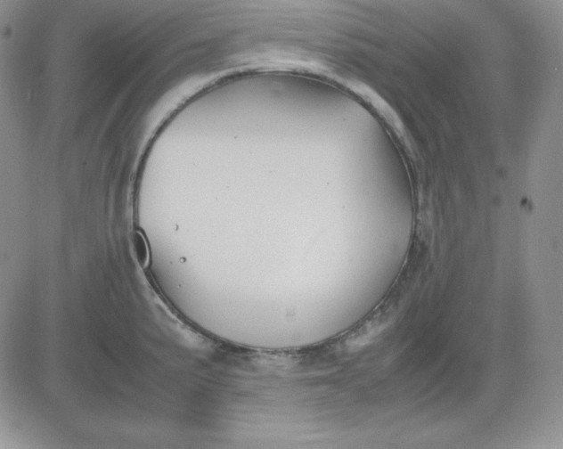 X0000081291191200701251645