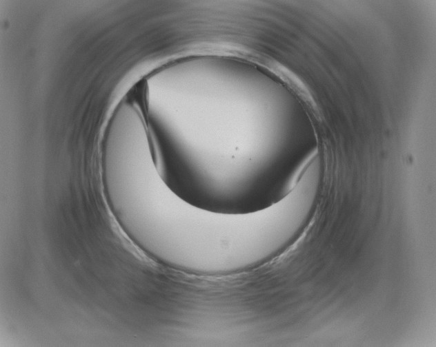 X0000081291192200701251645