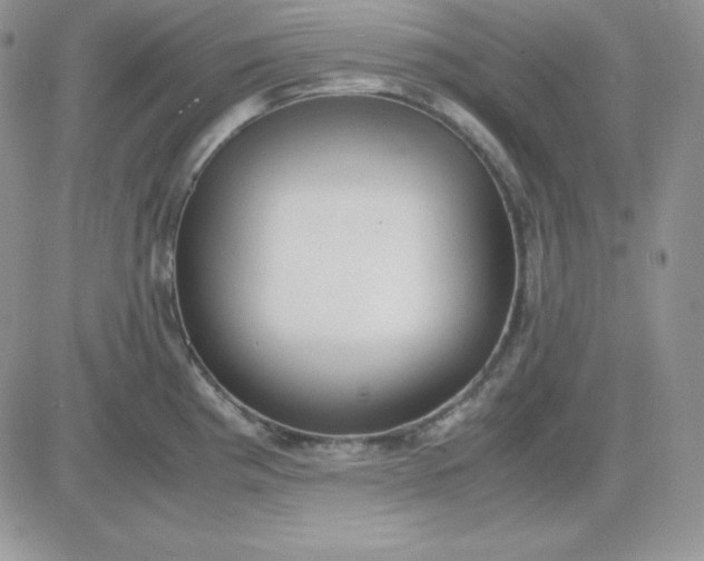 X0000081291193200701251645