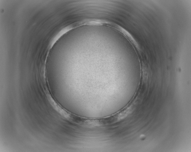 X0000081291194200701251645