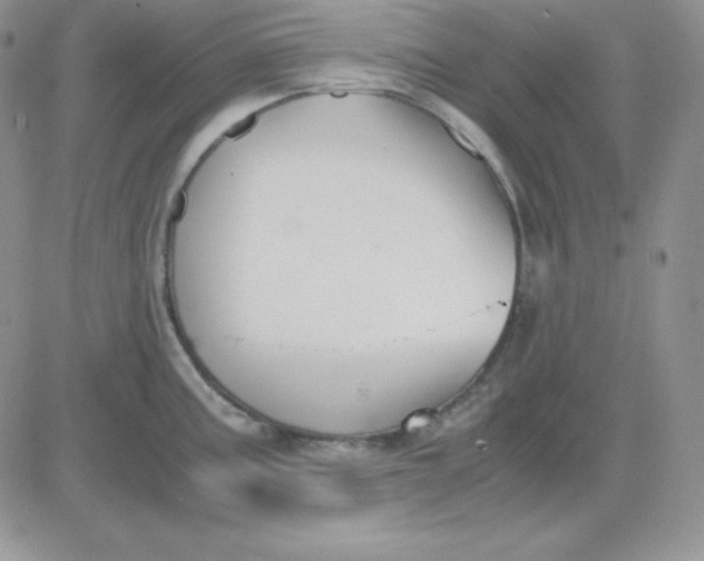 X0000081291195200701251645