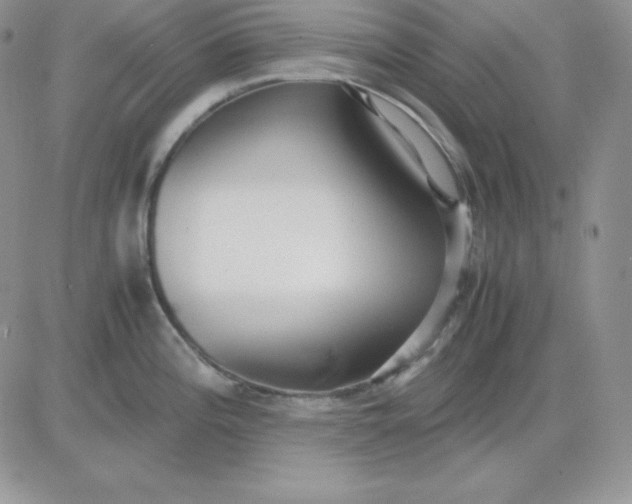 X0000081291196200701251645