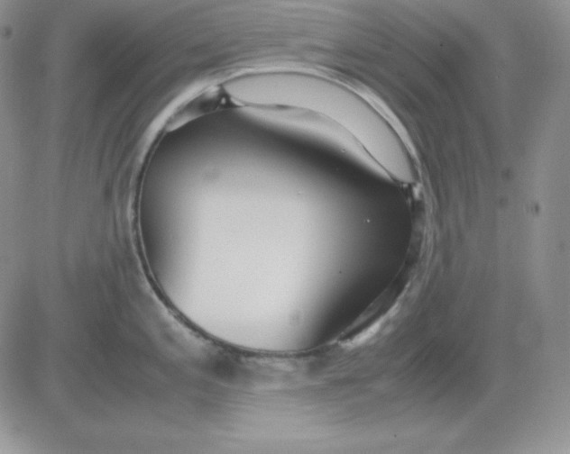 X0000081291197200701251645