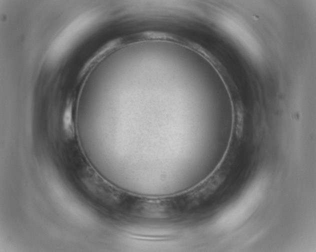 X0000081291198200701251645