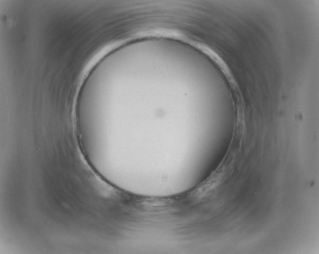 X0000081291199200701251645