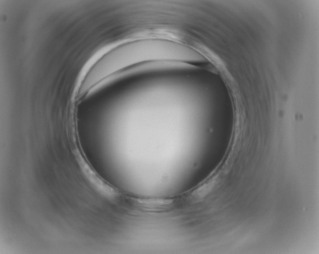 X0000081291200200701251645