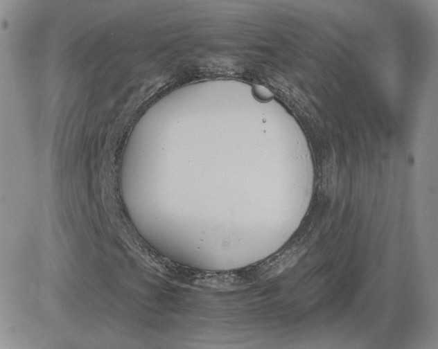 X0000081291201200701251644