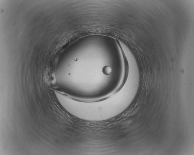 X0000081291202200701251644